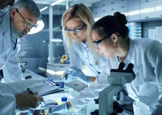 three scientist in action examining findings